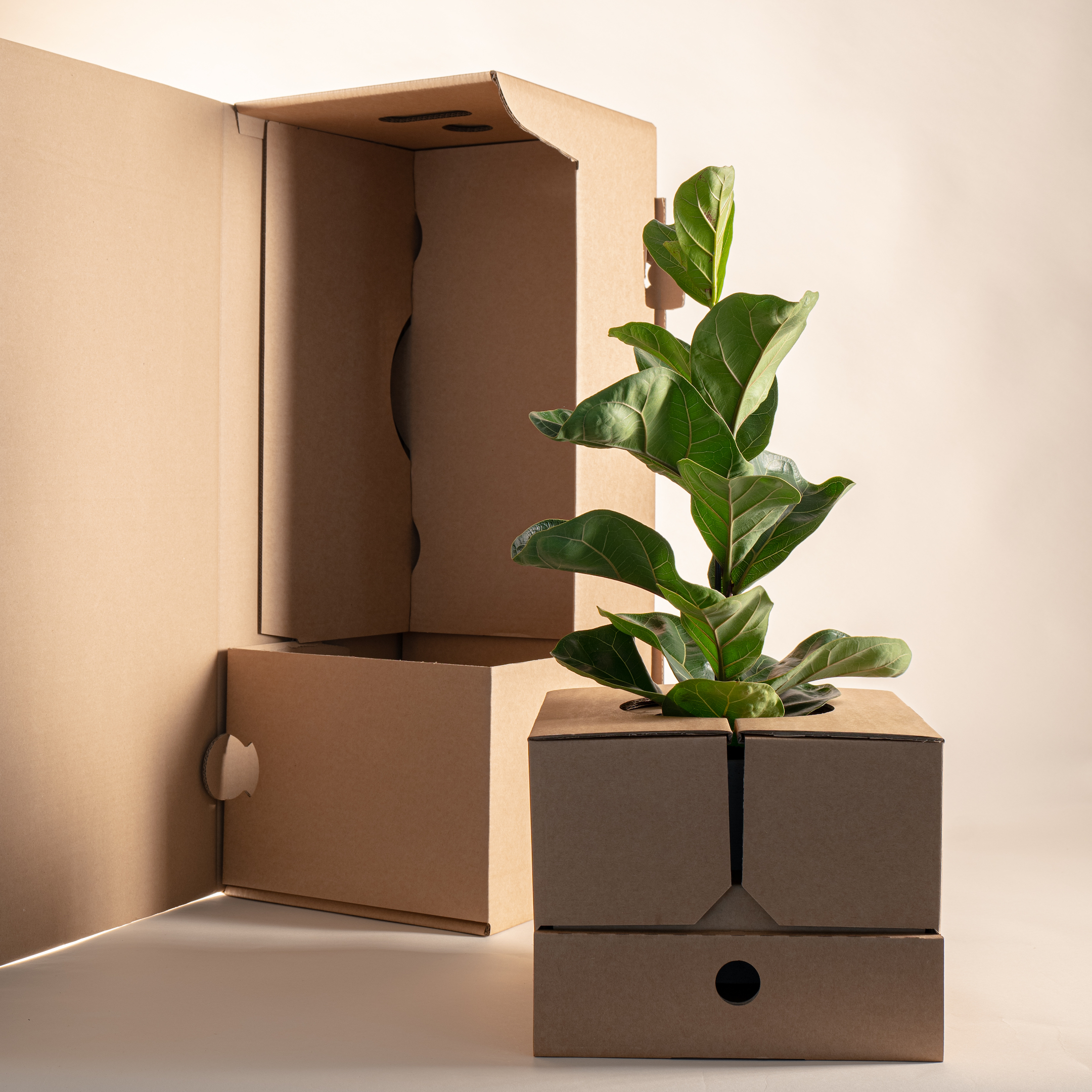 Packaging NawetPrint